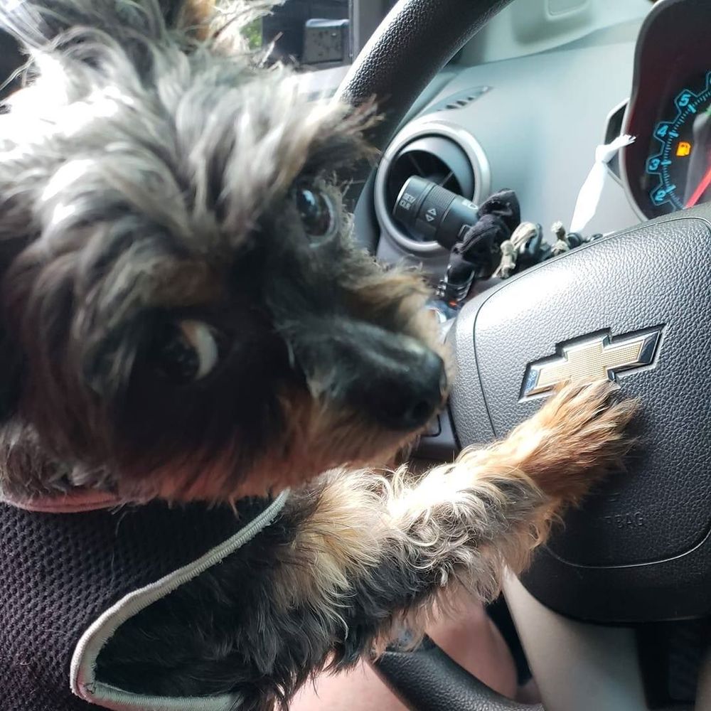 Meet your Posher, Tandra